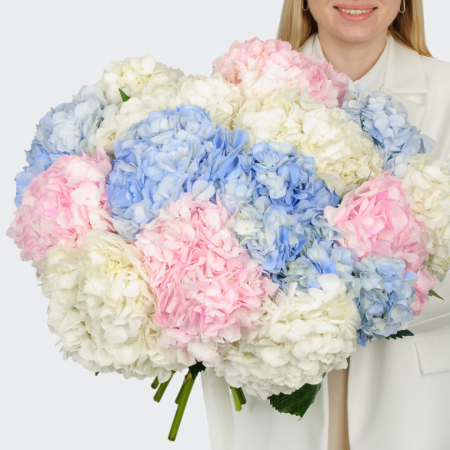 Букет 15 гортензий Цветочные облака