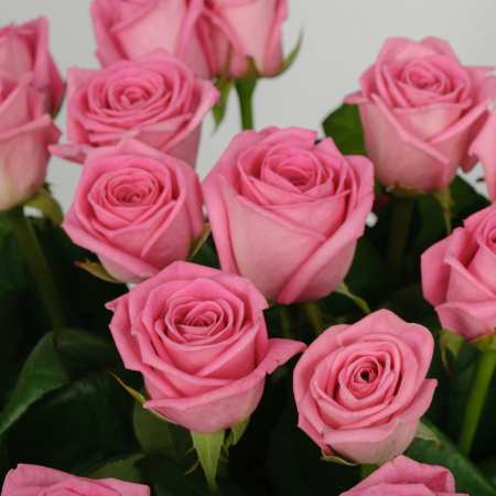 Букет 19 роз Розовая звезда