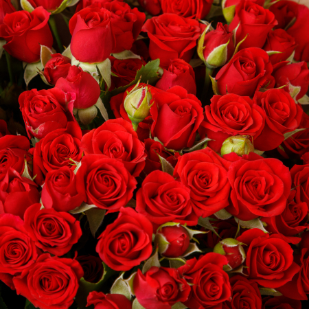 Букет 19 роз Закатный вальс