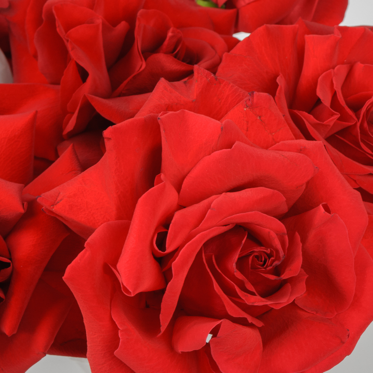 Букет в коробке Валентинка (9 роз)