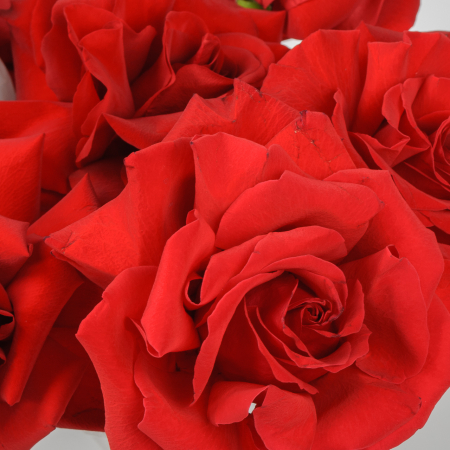 Букет в коробке Валентинка (9 роз)