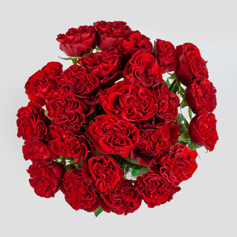 Букет 25 роз Хартс (Эквадор), 60 см
