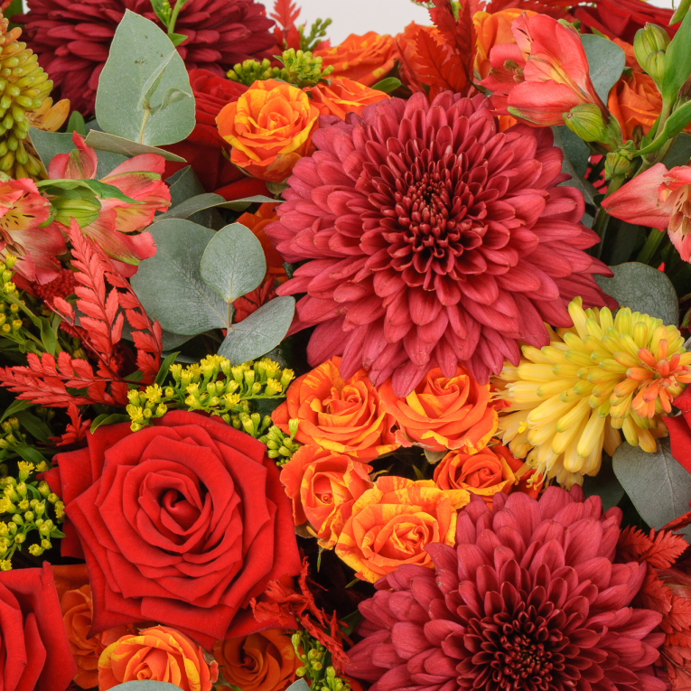 Букет в коробке Танец Кармен