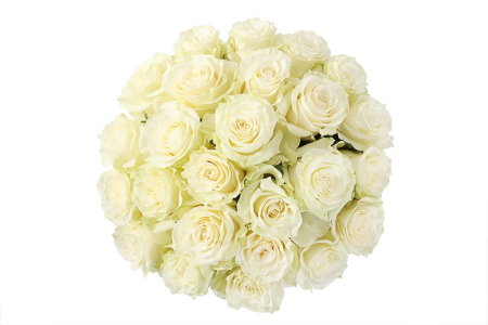 Букет 25 роз Мондиаль в шляпной коробке