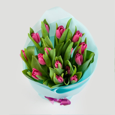 Букет 15 тюльпанов в белой бумаге, малиновые