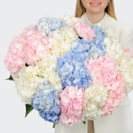 Букет 21 гортензий Цветочные облака