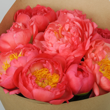 Букет 9 пионов В порыве чувств