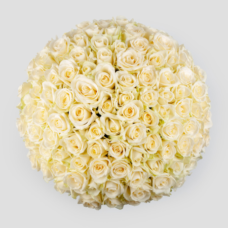 Букет в зеленой коробке Первая нежность (101 роза)