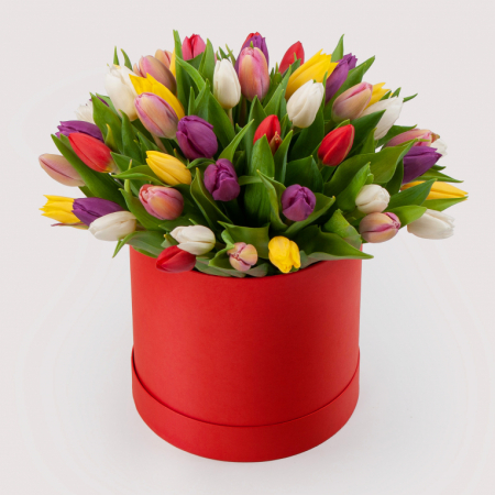 Букет 51 тюльпан в красной коробке Нежные объятия