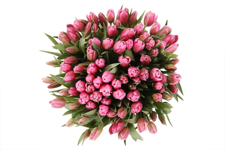 Букет 101 тюльпан, розовые