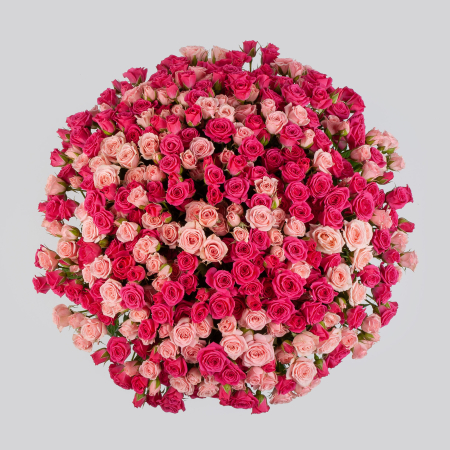 Букет из 101 розы Розовая Венера