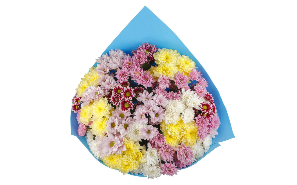 Букет из хризантем Звездное небо (макси)
