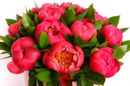 Букет Модная штучка в коробке