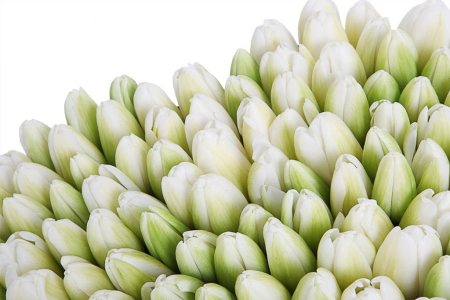 Композиция Весеннее вдохновение (макси), белая