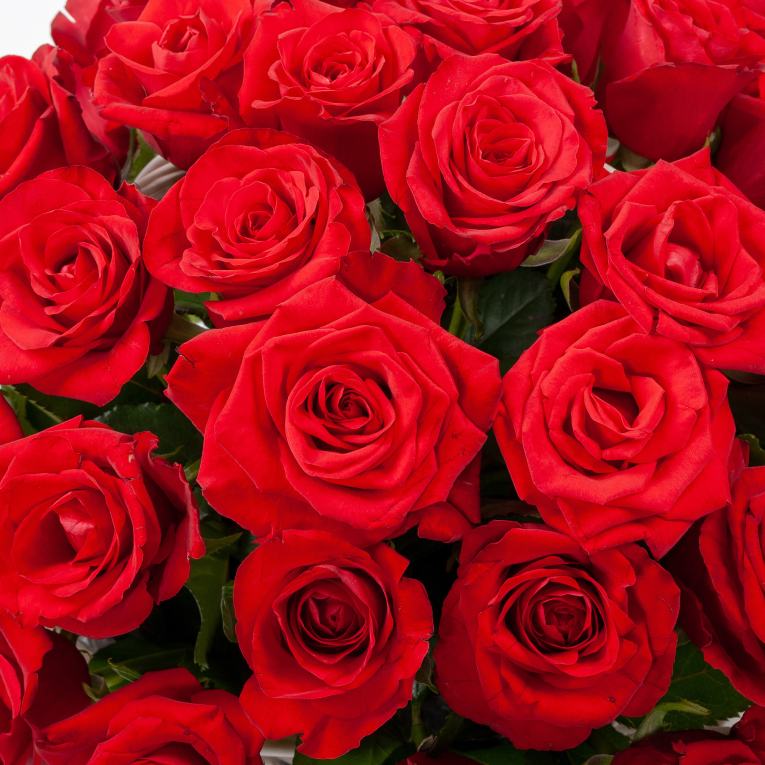 Букет в корзине Румба (51 роза)