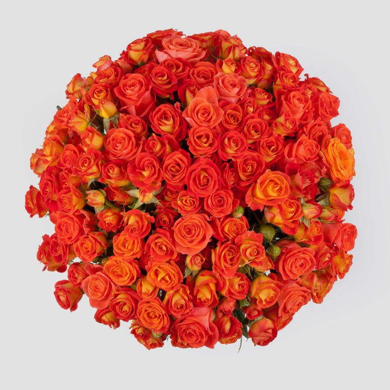 Букет из 51 розы Испанская сиеста