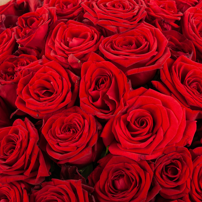 Букет из 51 розы в крафте Красная молния