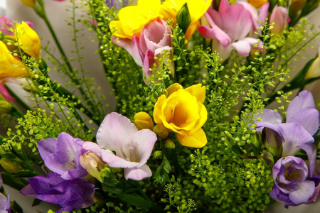 Букет с фрезиями Весенние звезды