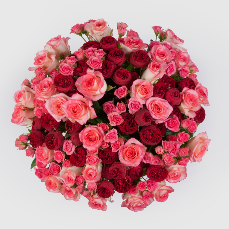 Букет в коробке Сезон страсти (51 роза)