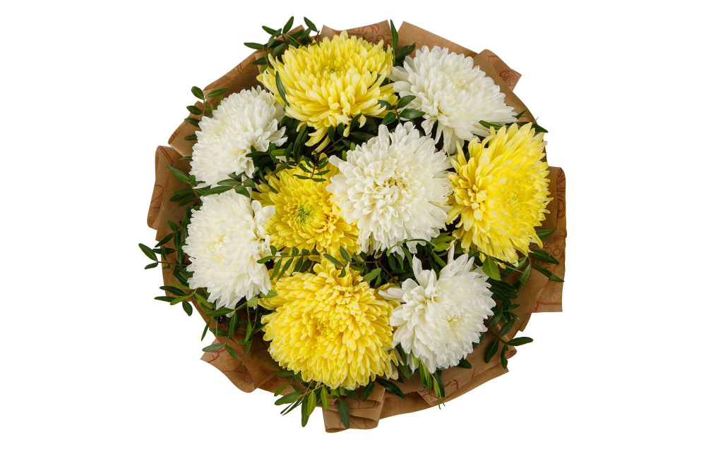 Букет Утренняя прохлада (9 хризантем микс)