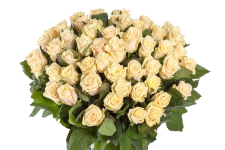 Букет 51 роза Талея