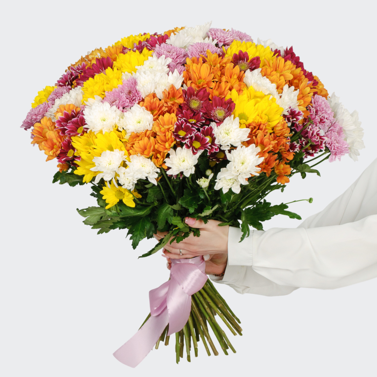 Букет 51 кустовая хризантема микс