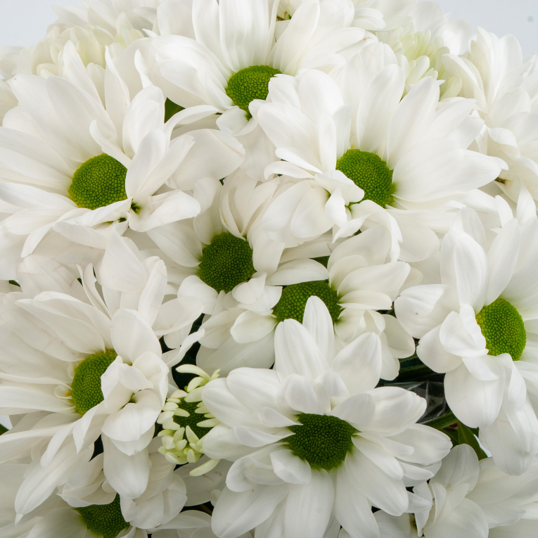 Букет в кашпо Время любви