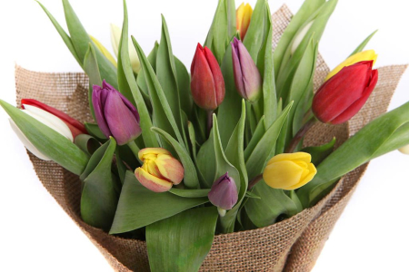 Букет 15 тюльпанов в мешковине, микс