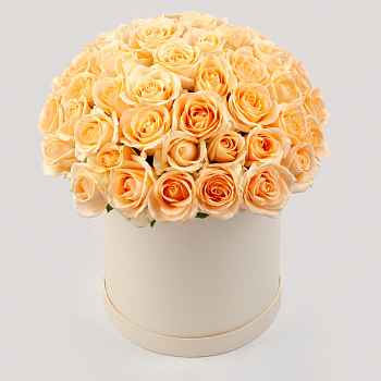 Букет в белой коробке Утренняя соната (51 роза)