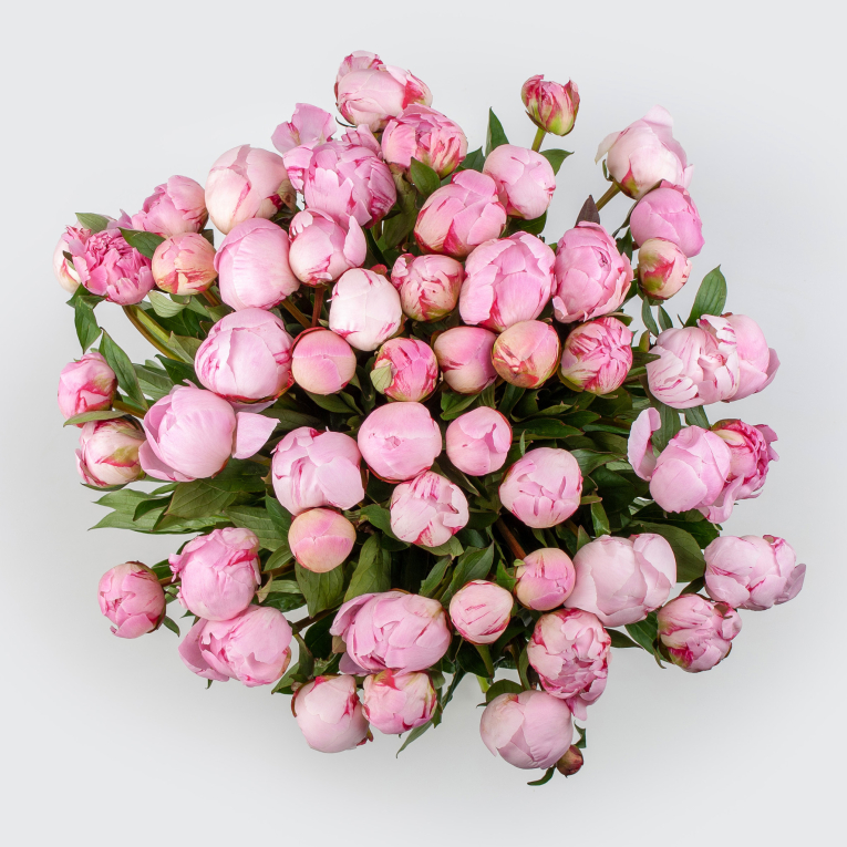 Букет из пионов 51 мгновение любви