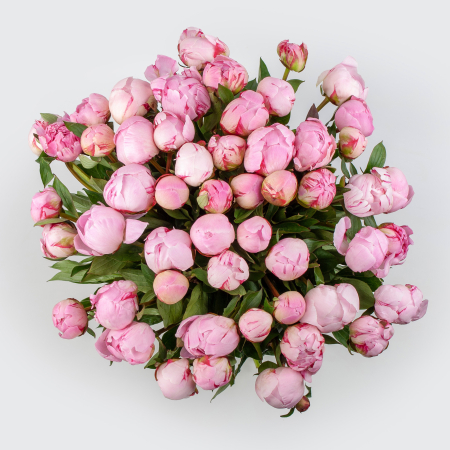 Букет из пионов 51 мгновение любви