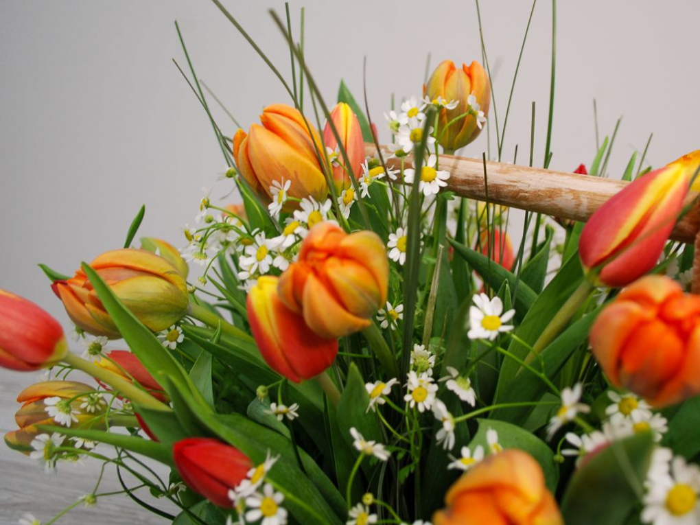 Букет Лукошко сказок в кашпо