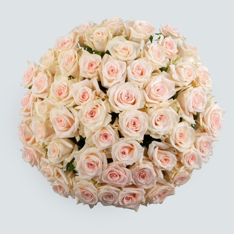 Букет из 51 розы Небесные чувства