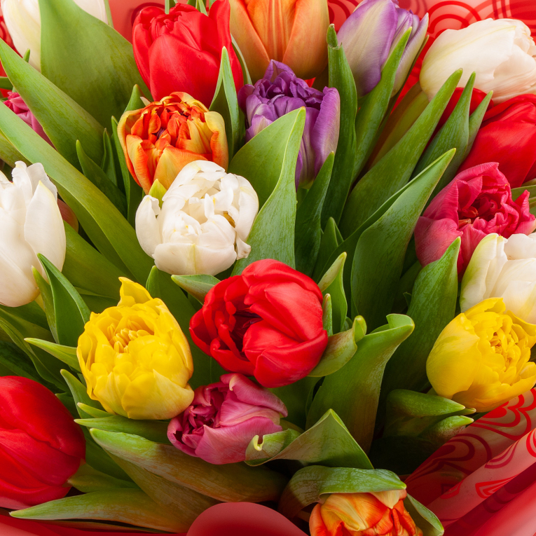 Букет 25 тюльпанов в красной бумаге, микс