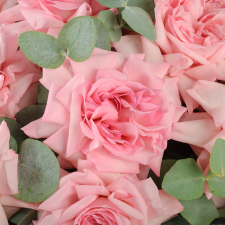 Букет из 15 розовых роз Нежная мелодия