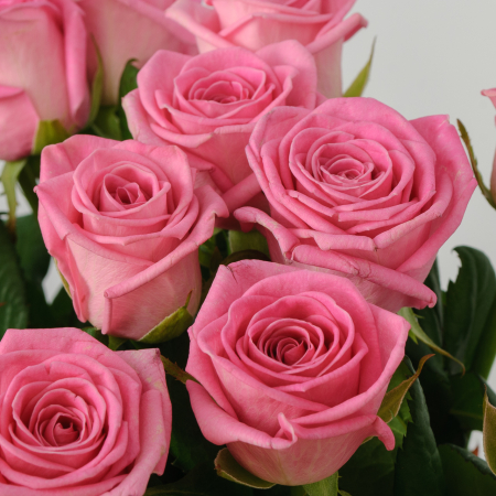 Букет 15 роз Розовая звезда