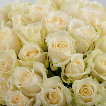 Букет 51 роза Аваланш (40 см)