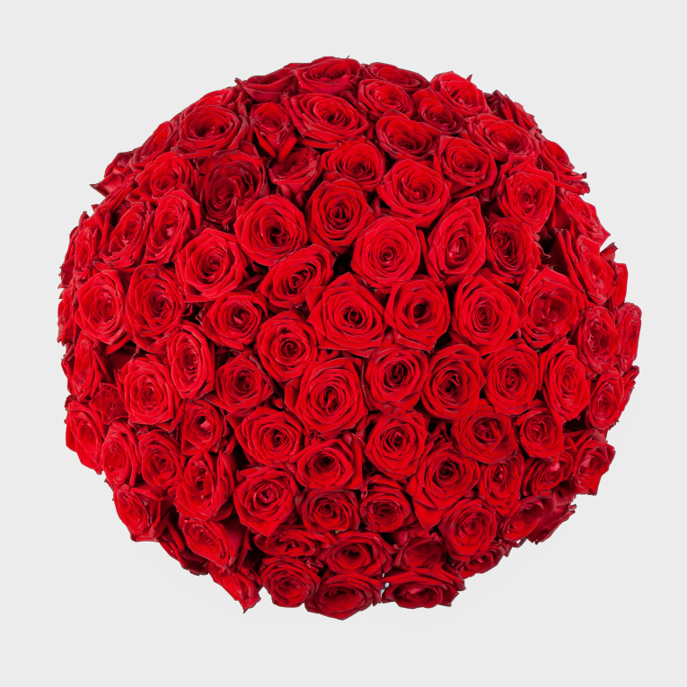 Букет в белой коробке Алые краски (101 роза)