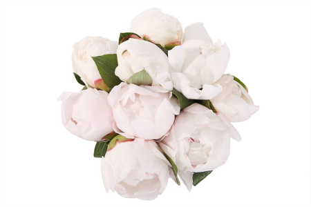 Букет 9 пионов в шляпной коробке