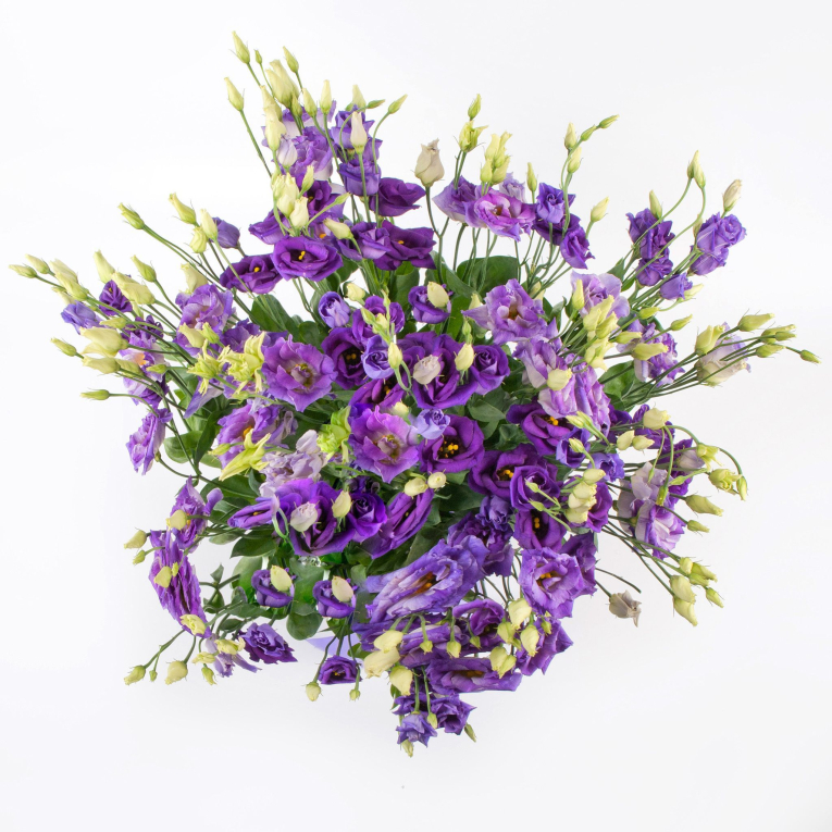 Букет Простые сложности + Десерт в ПОДАРОК!