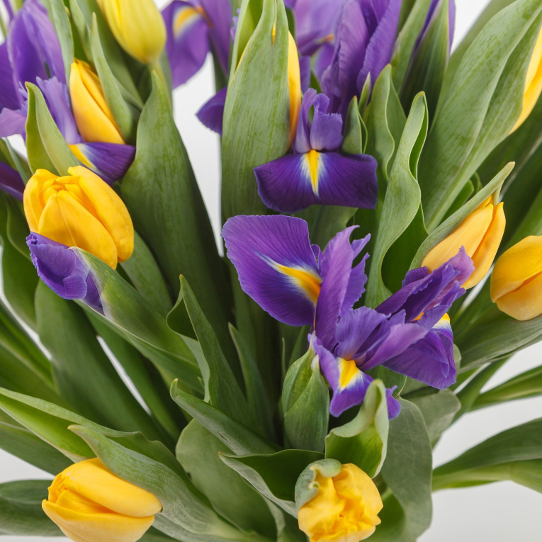 Букет Весенние мечты