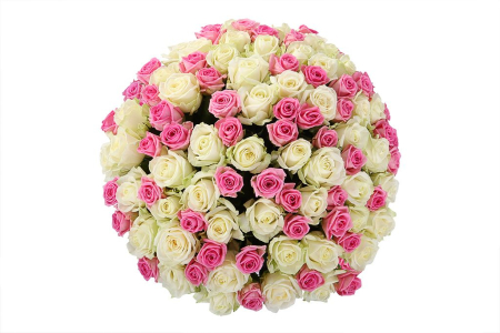 Букет Нежное настроение, 101 роза