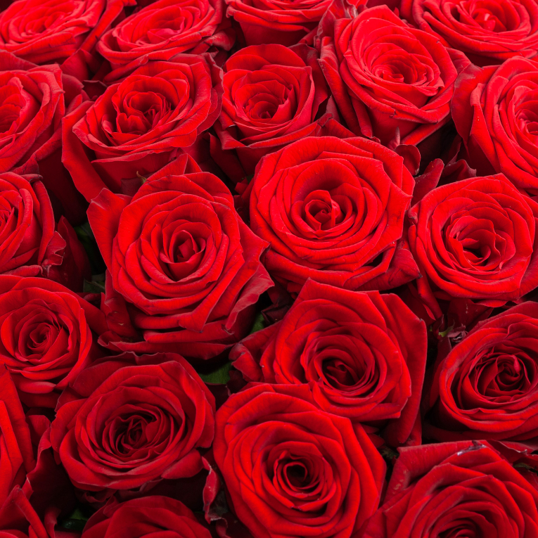 Букет из 101 красной розы Ред Наоми (40 см)