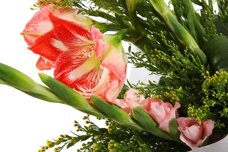 Букет Хвост кометы