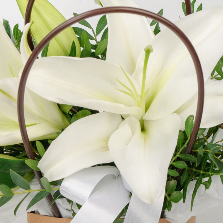 Композиция Изящество юности