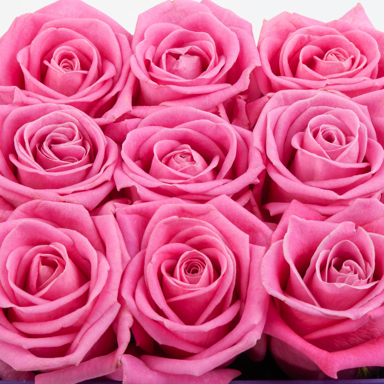 Розы в коробке Розовый поцелуй