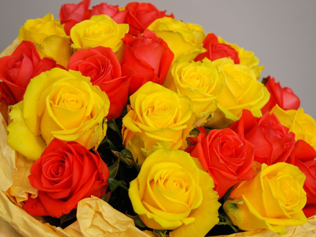 Букет 25 роз, желто-оранжевый микс