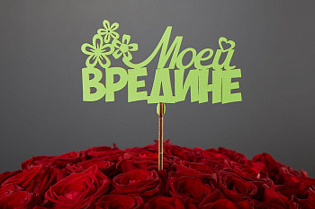 Топпер «Моей вредине»