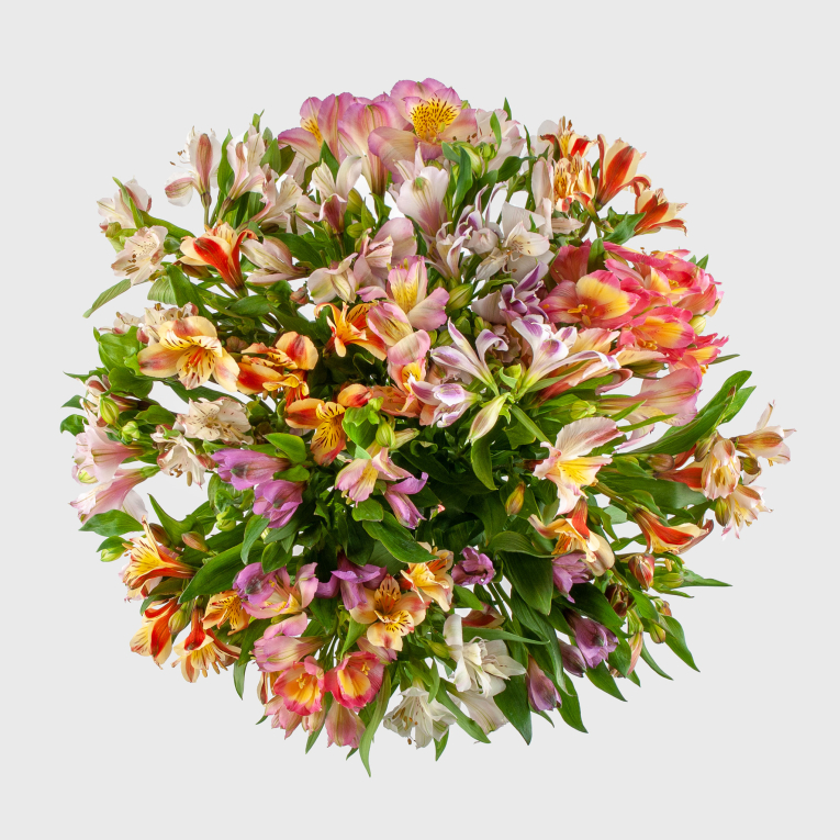 Букет из альстромерий Розовый десерт