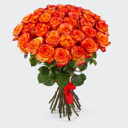 Букет 35 роз Хай Мэджик